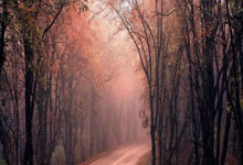 [图]客场两球完胜云南玉昆 北京国安收获开门红.