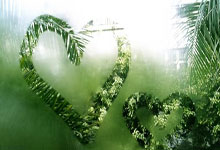 开云体育：[天下足球]多特蒙德小胜不来梅 获两连胜.