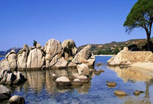 [国际足球]德国杯第1轮：美因茨肖特1-6多特蒙德 集锦.